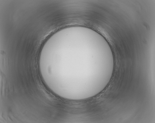 X0000090960354200708021126