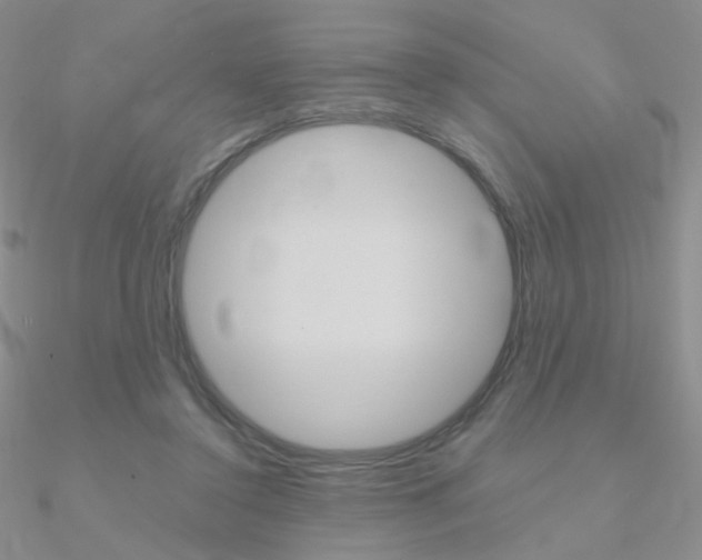 X0000090960356200708021126