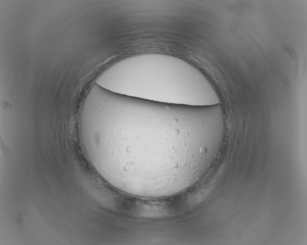 X0000090960359200708021126