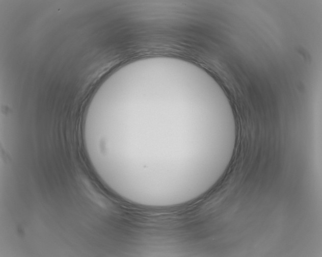 X0000090960360200708021126