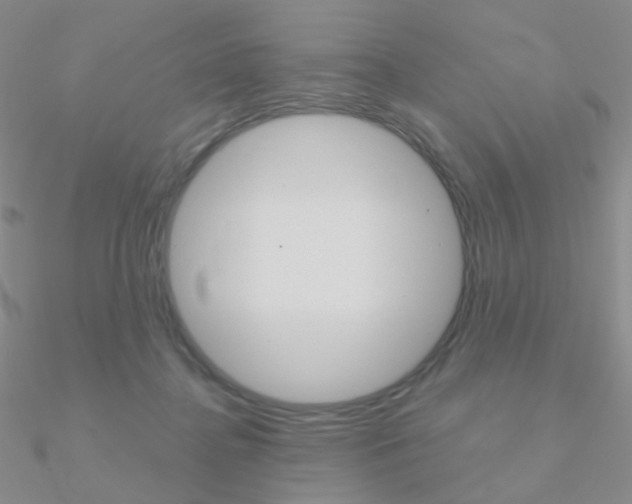 X0000090960364200708021126