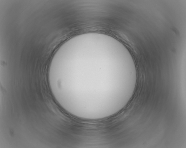 X0000090960366200708021126