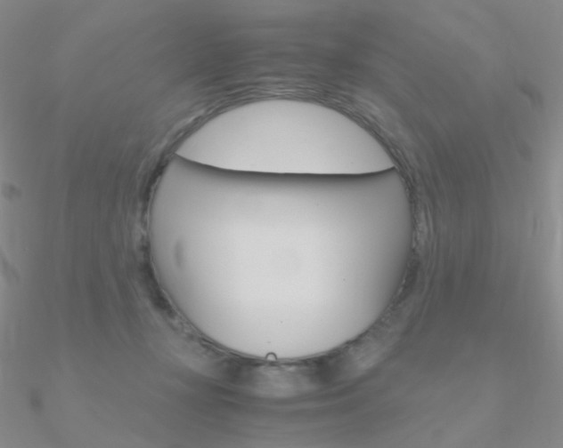 X0000090960367200708021126