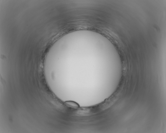 X0000090960369200708021126