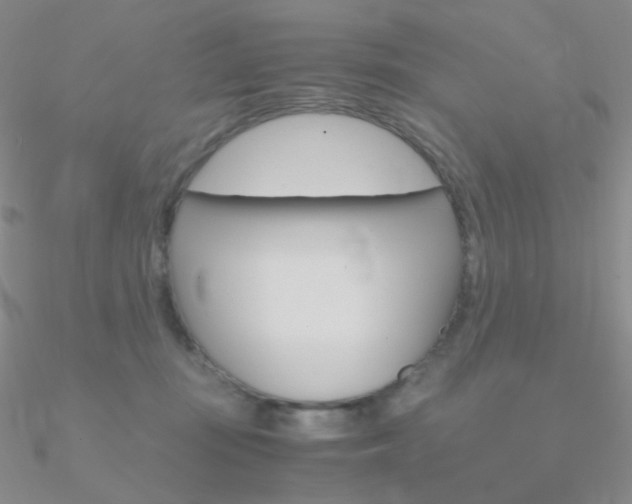 X0000090960371200708021126