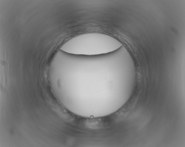 X0000090960373200708021126
