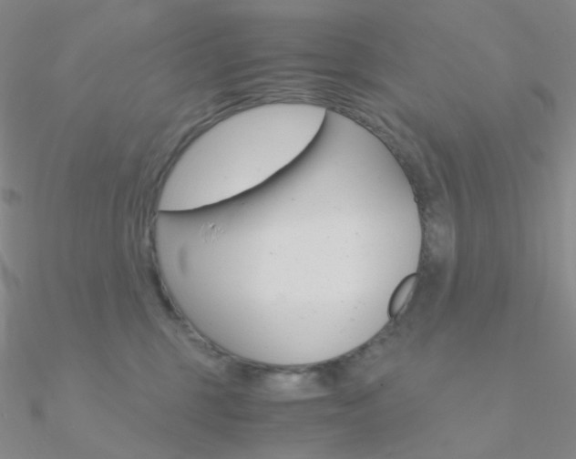 X0000090960375200708021126