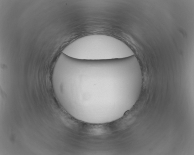 X0000090960377200708021126