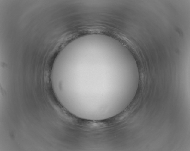X0000090960379200708021126