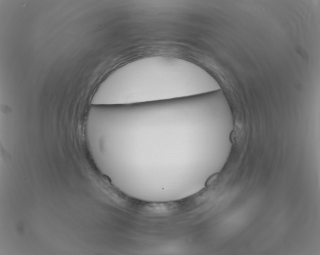 X0000090960381200708021126