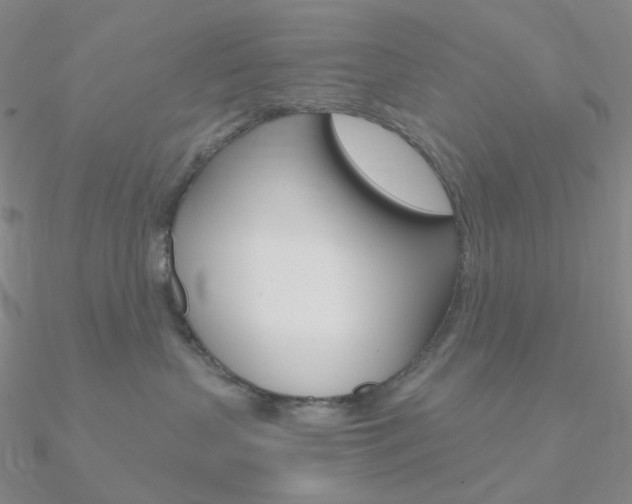 X0000090960383200708021126
