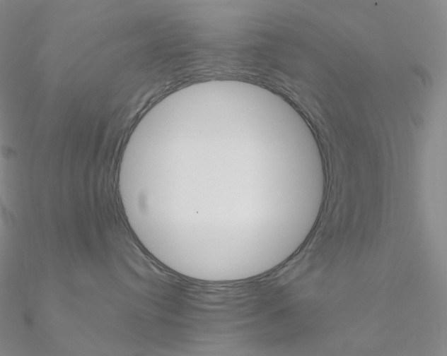 X0000090960384200708021126