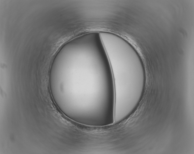 X0000090960385200708021126