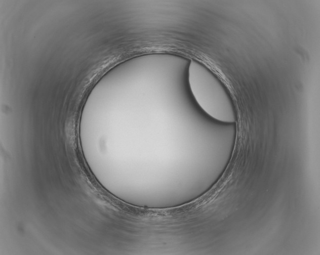 X0000090960386200708021126