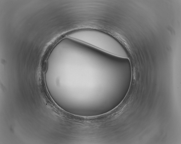 X0000090960388200708021126