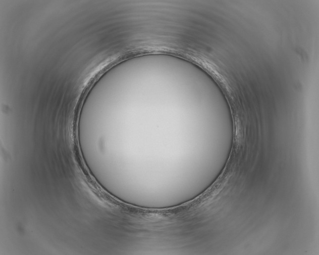 X0000090960390200708021126
