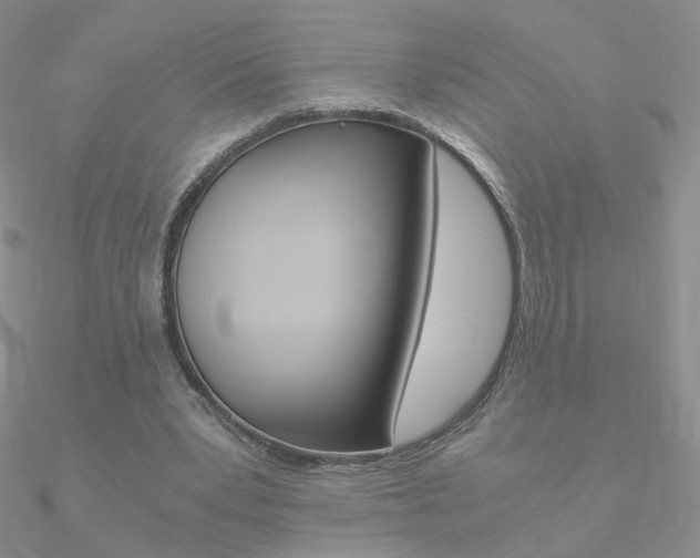 X0000090960391200708021126