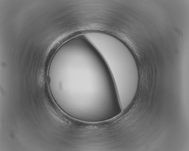 X0000090960392200708021126