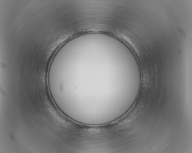 X0000090960394200708021126