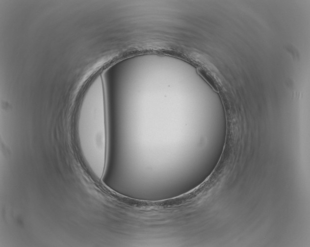 X0000090960395200708021126