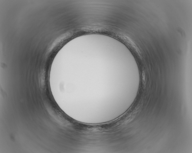 X0000090960396200708021126