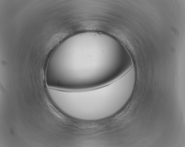 X0000090960397200708021126