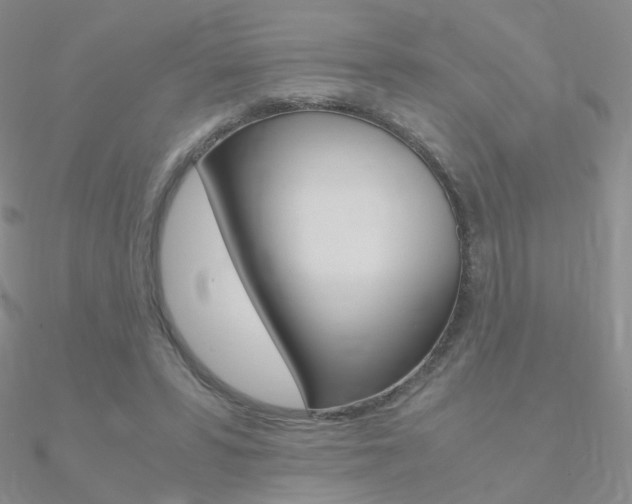 X0000090960399200708021126