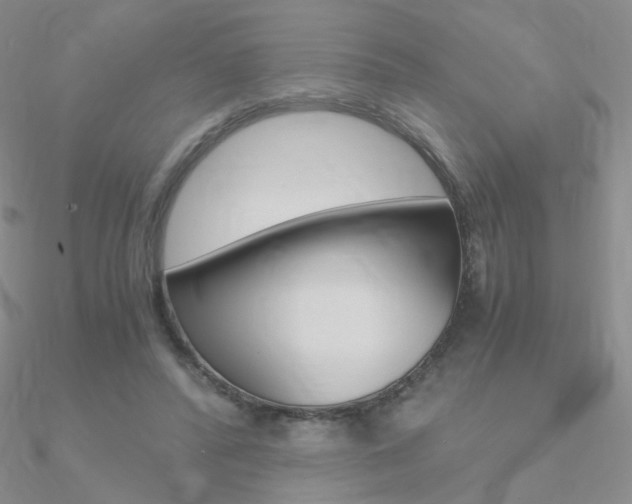 X0000090960400200708021126