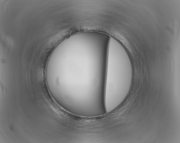 X0000090960401200708021126