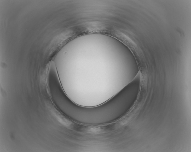 X0000090960405200708021125