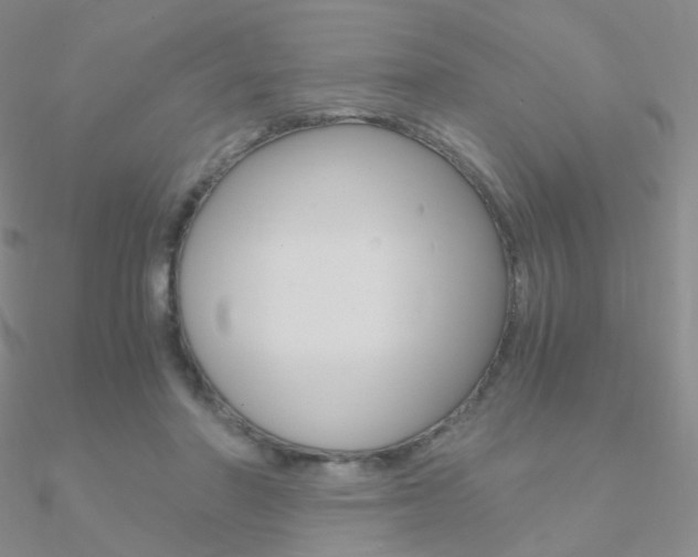 X0000090960406200708021125