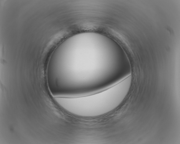 X0000090960407200708021125