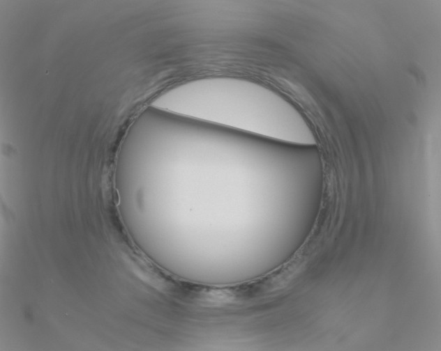 X0000090960409200708021125