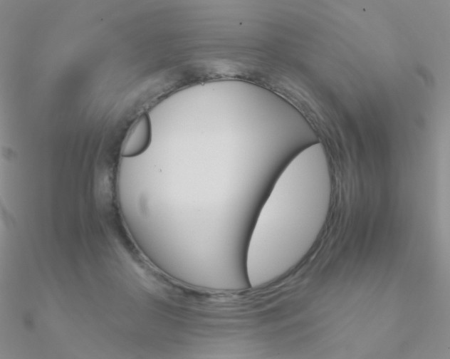 X0000090960410200708021125