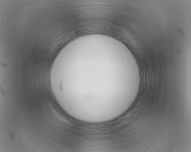 X0000090960412200708021125
