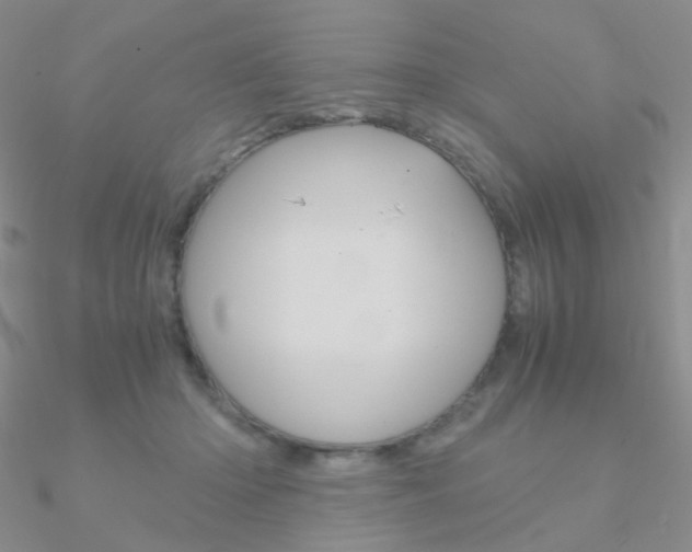 X0000090960414200708021125