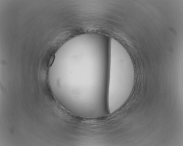X0000090960417200708021125
