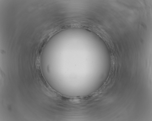 X0000090960419200708021125