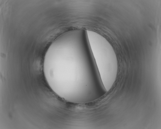 X0000090960420200708021125