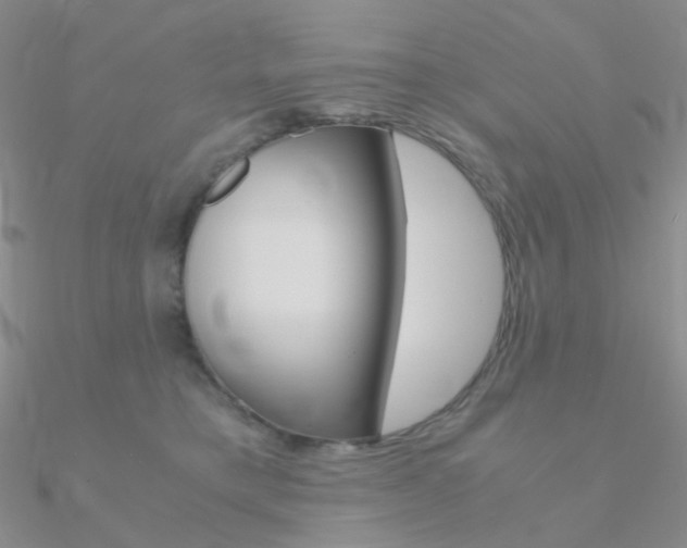 X0000090960421200708021125