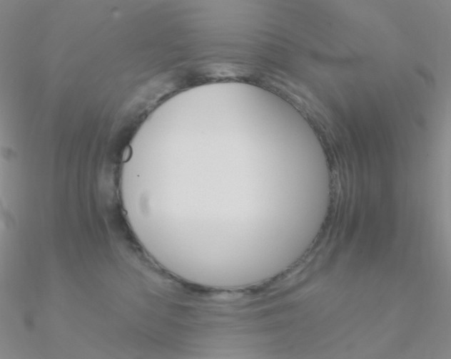 X0000090960422200708021125