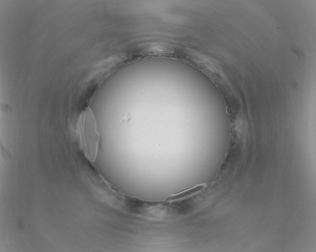 X0000090960423200708021125