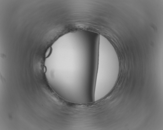 X0000090960424200708021125
