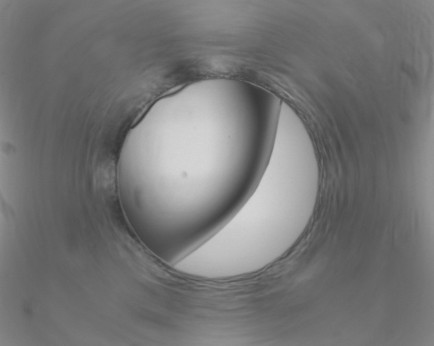 X0000090960425200708021125