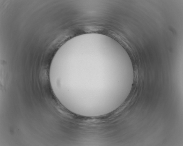 X0000090960426200708021125