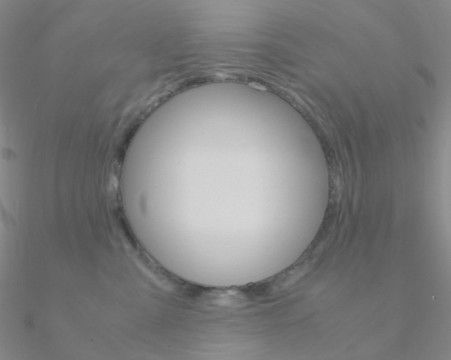 X0000090960427200708021125