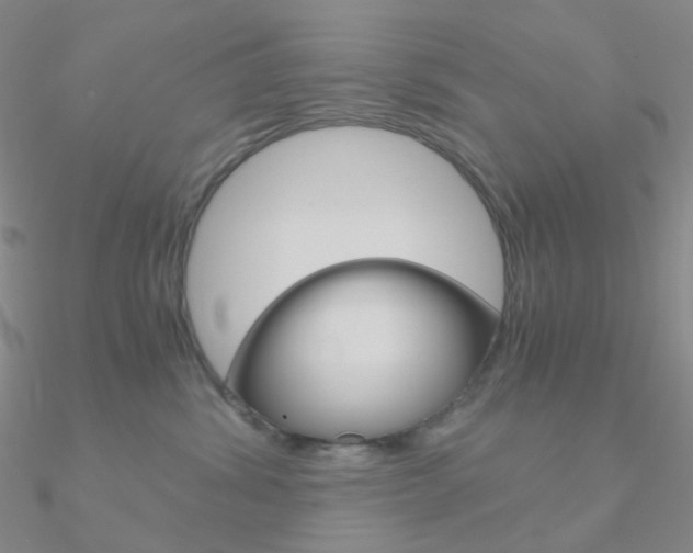 X0000090960428200708021125