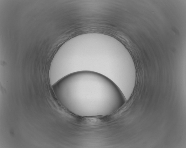 X0000090960429200708021125