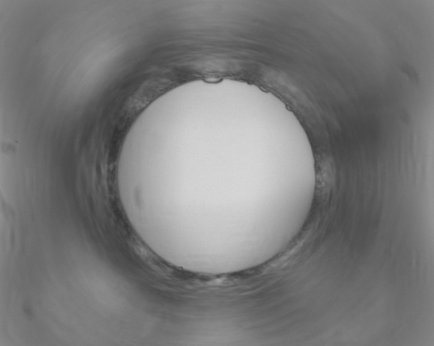 X0000090960430200708021125