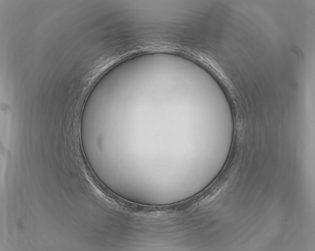 X0000090960433200708021124